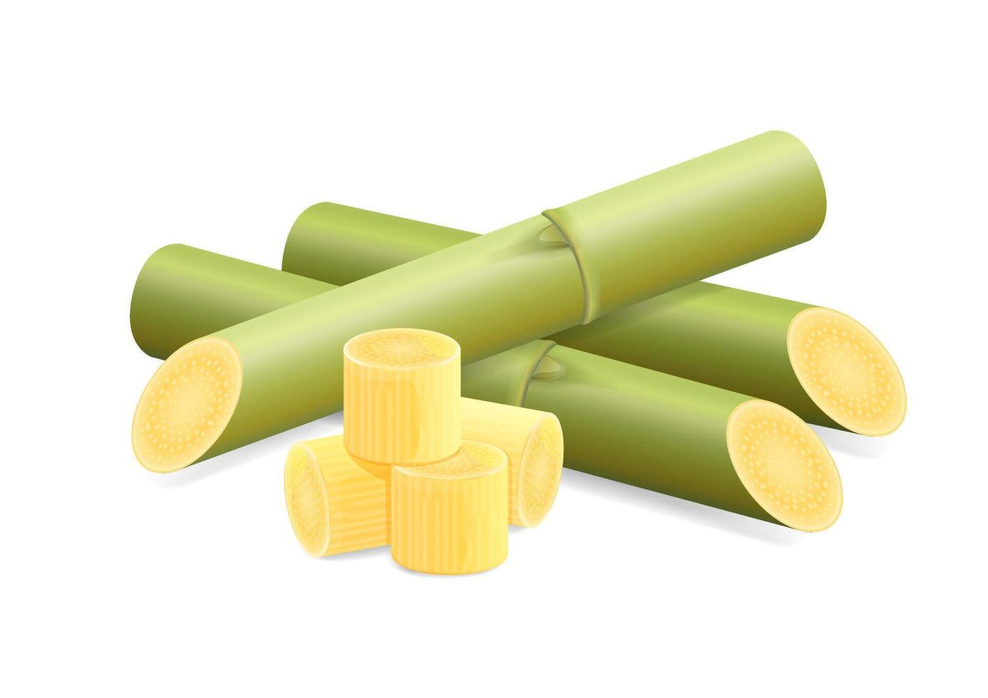 Illustration Sugar Cane, Cane, Pieces of Fresh Sugarcane Green, Sugar Cane Cut Isolated on White vector