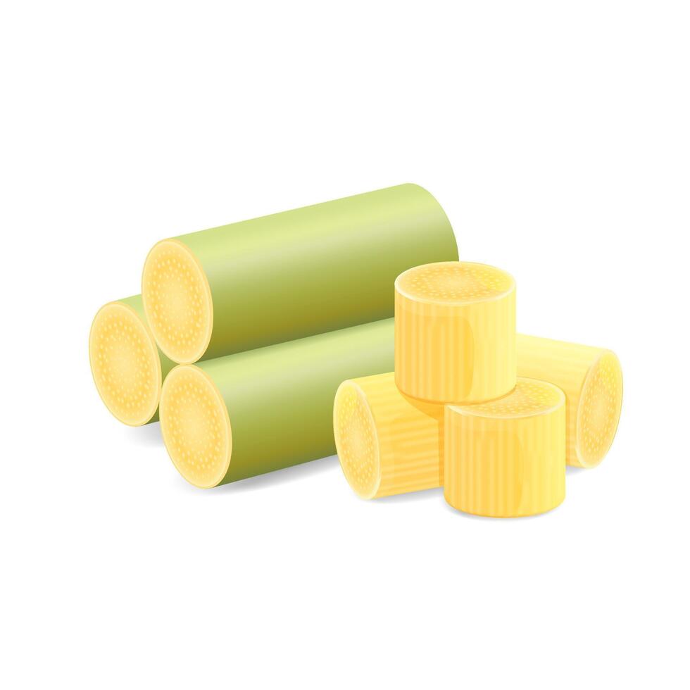 Illustration Sugar Cane, Cane, Pieces of Fresh Sugarcane Green, Sugar Cane Cut Isolated on a White vector