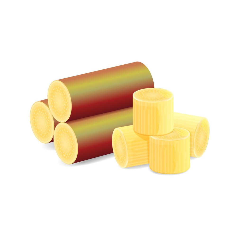 Illustration Sugar Cane, Cane, Pieces of Fresh Sugarcane, Sugar Cane Cut Isolated on White Background vector