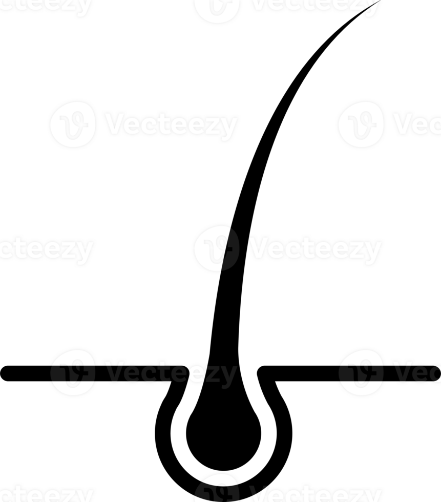hair icon for graphic design, logo, web site, social media, mobile app, ui illustration. png