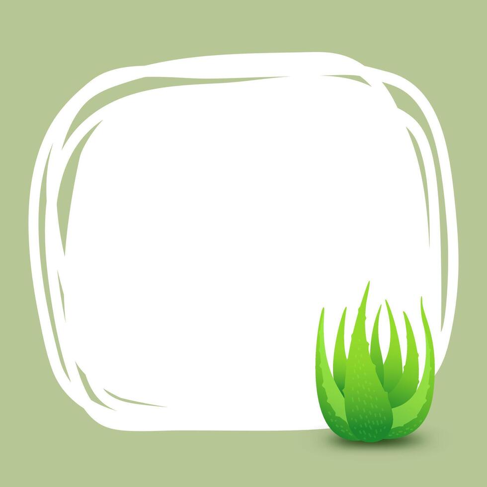 banner square frame aloe vera plant for background green advertising, blank banner aloe vera leaves for copy space, clip art aloe vera banner ad, empty template aloe vera for cosmetic cream products vector