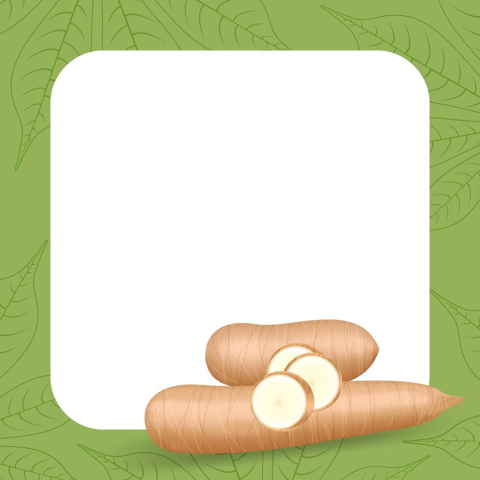 banner frame of cassava fresh, copy space, cassava cut slice for tapioca flour industry or ethanol, pile yucca cassava tuber on frame, raw manioc cassava on a template banner green vector