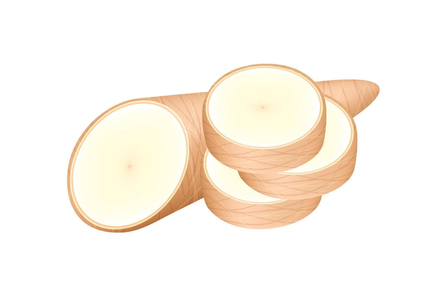 raw cassava fresh isolated on white, cassava cut slice for tapioca flour industry or ethanol industry, pile yucca cassava tuber, raw manioc cassava vector