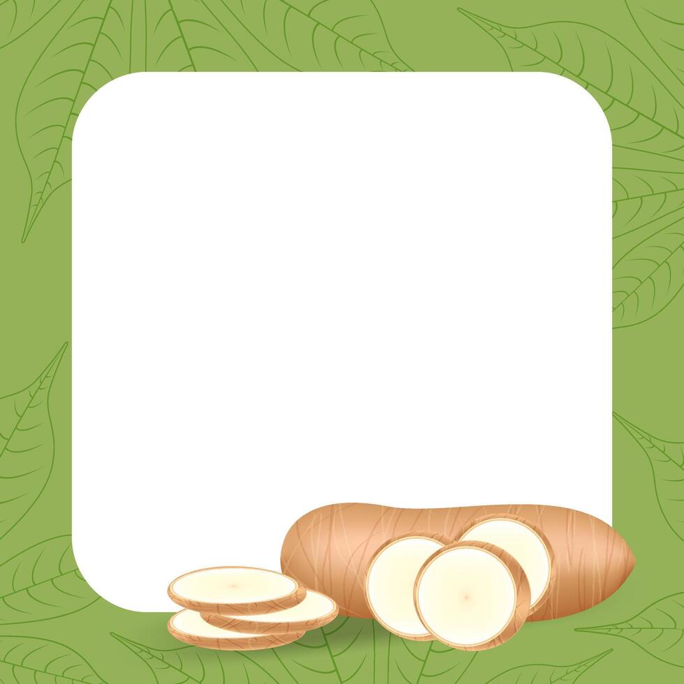 banner frame of cassava nature, copy space, cassava cut slice for tapioca flour industry or ethanol, pile yucca cassava tuber on frame, raw manioc cassava on a template banner empty vector