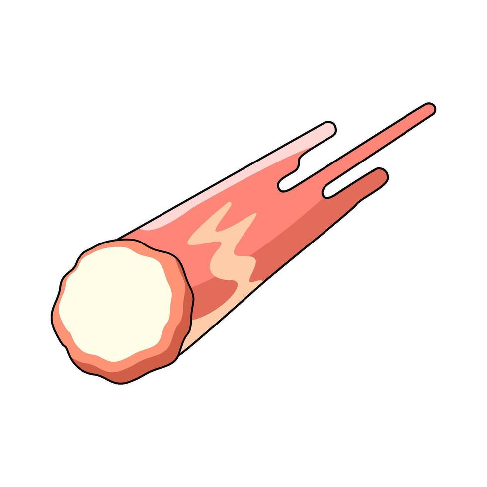 illustration of Falling Comet vector