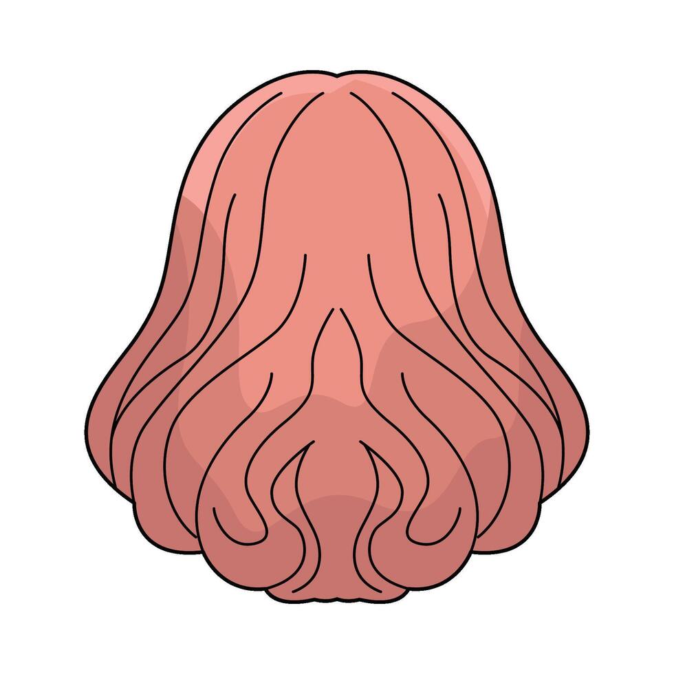 illustration of Hair Color vector