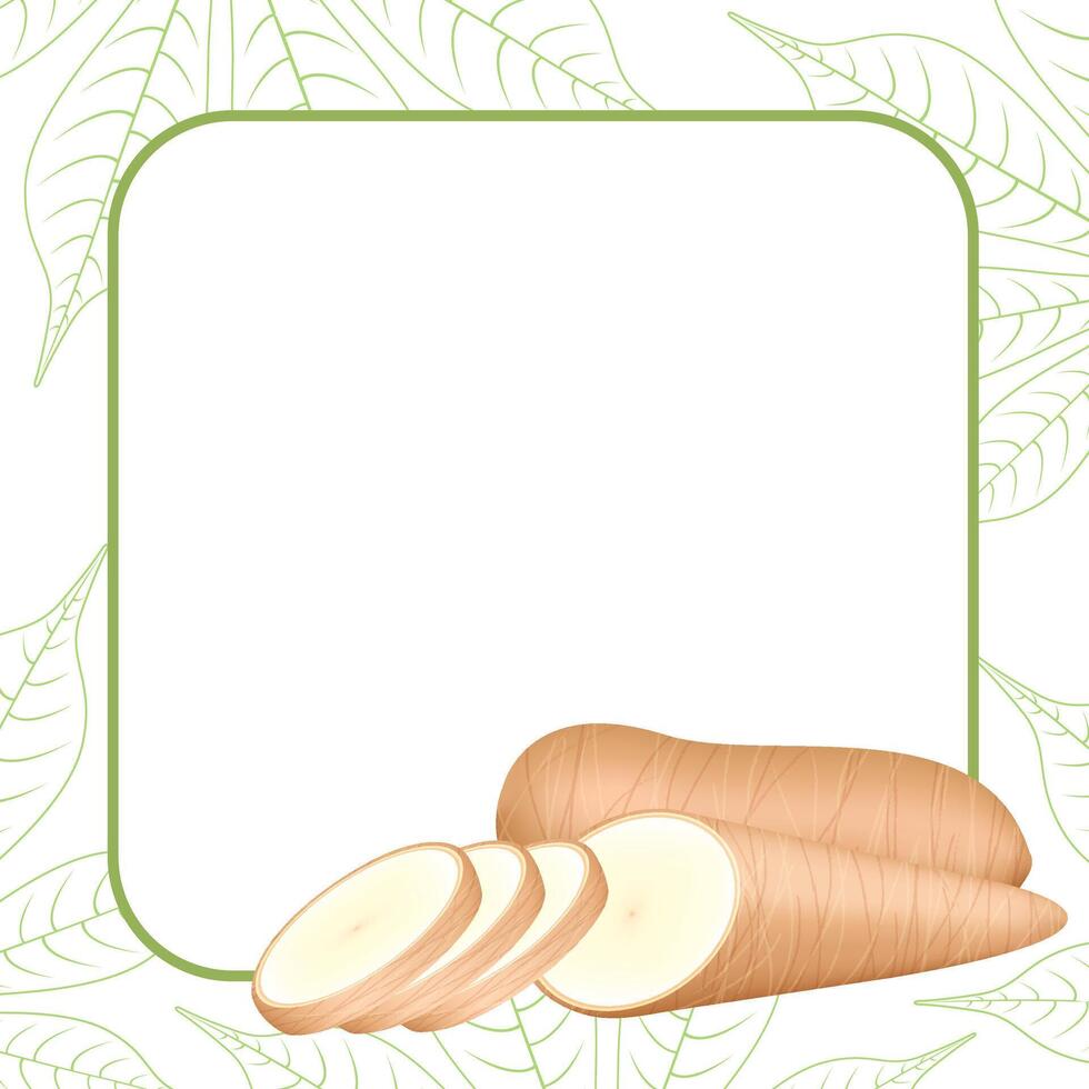 banner frame of a cassava nature, copy space, cassava cut slice for tapioca flour industry or ethanol, pile yucca cassava tuber on frame, raw manioc cassava on template banner empty vector