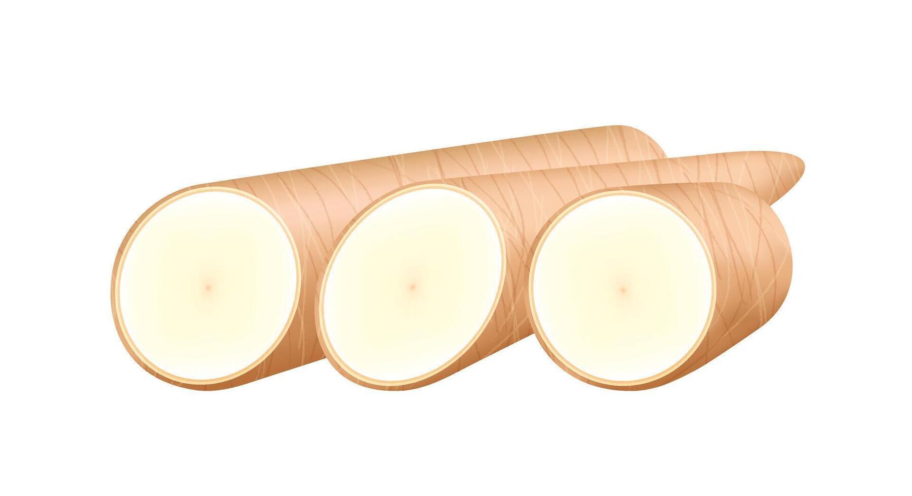 raw cassava fresh isolated on white background, cassava cut slice for tapioca flour industry or ethanol industry vector