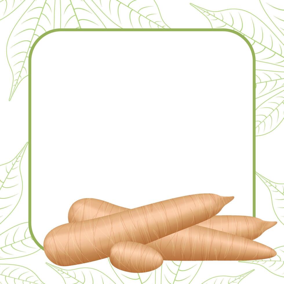 banner frame of a cassava nature, copy space, cassava cut slice for tapioca flour industry or ethanol, pile yucca cassava tuber on frame, raw manioc cassava on template banner blank vector