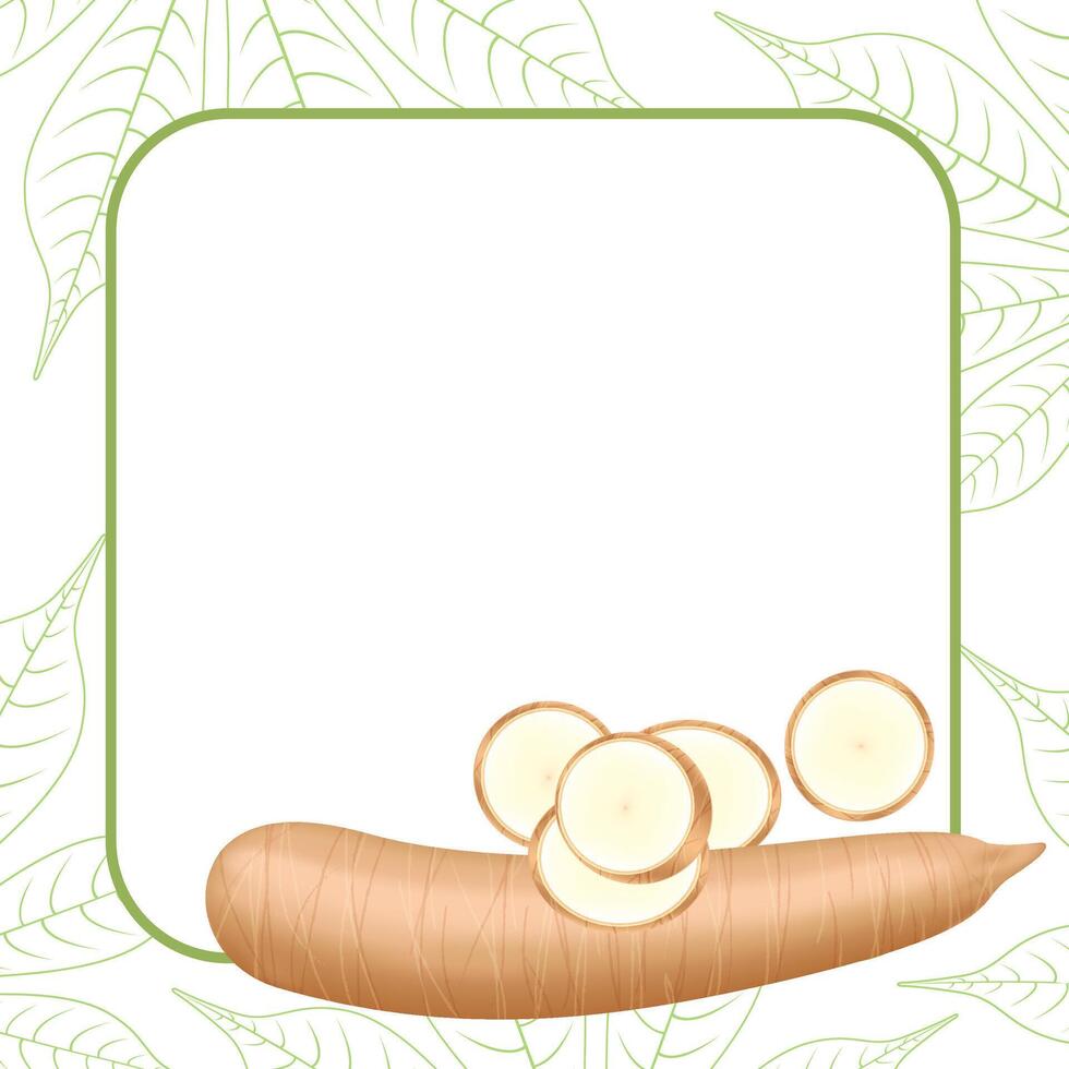 banner frame of a cassava nature, copy space, cassava cut slice for tapioca flour industry or ethanol, pile yucca cassava tuber on frame, raw manioc cassava on a template banner blank vector