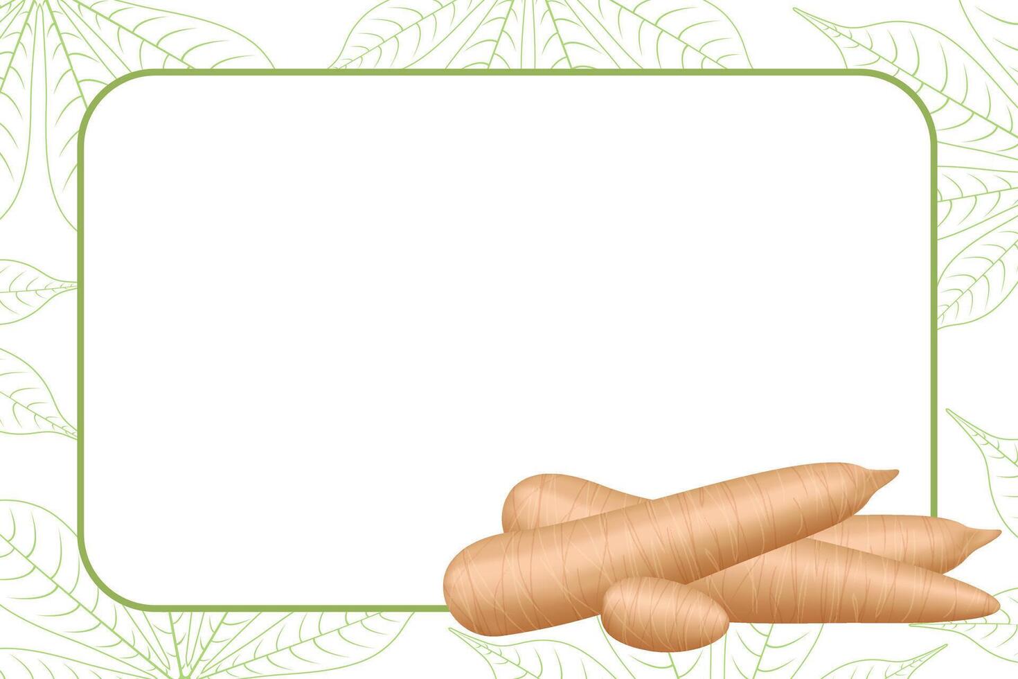 banner frame of a cassava fresh, copy space, cassava cut slice for tapioca flour industry or ethanol, pile yucca cassava tuber on frame, raw manioc cassava on a template banner blank vector
