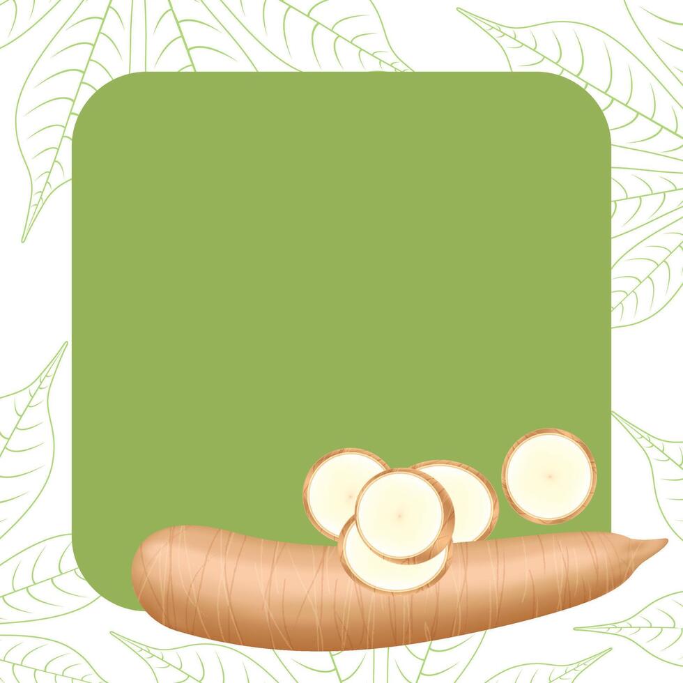 banner frame of cassava, copy space, cassava cut slice for tapioca flour industry or ethanol, pile yucca cassava tuber on frame, raw manioc cassava on template banner empty vector