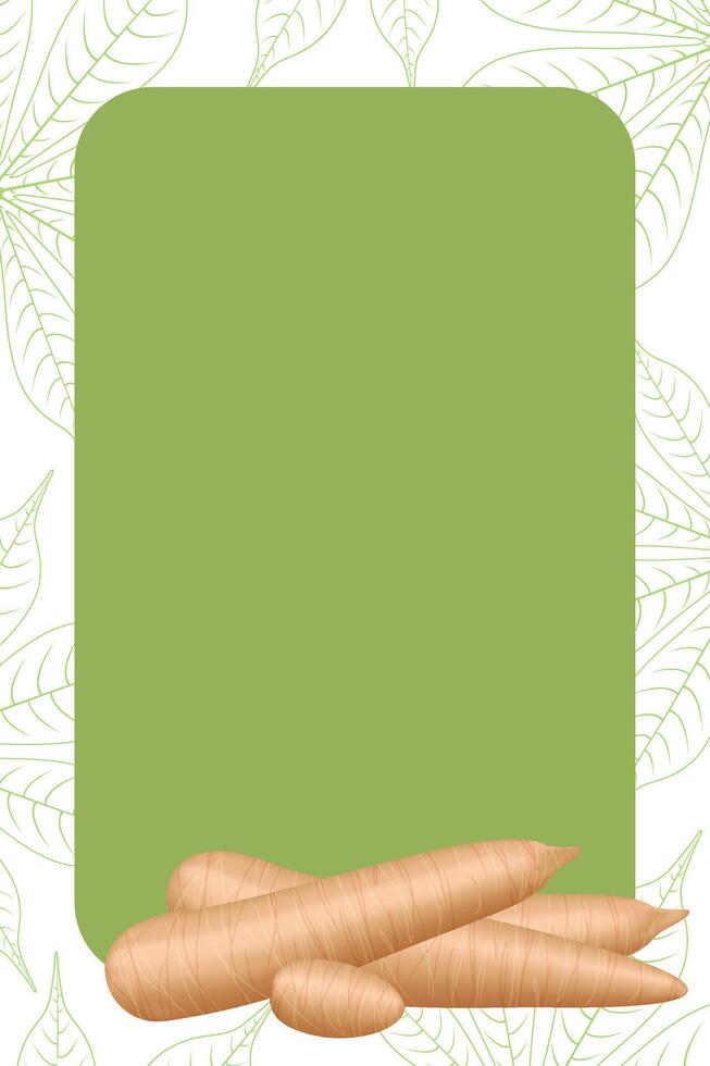 banner frame of cassava, copy space, cassava cut slice for tapioca flour industry or ethanol, pile yucca cassava tuber on frame, raw manioc cassava on template banner green vector