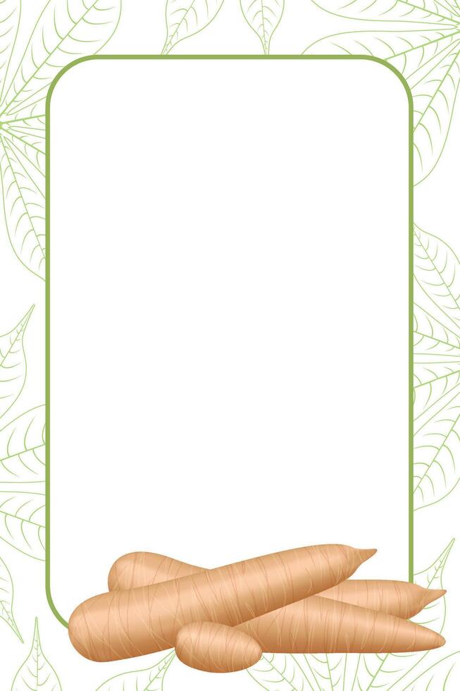 banner frame of cassava fresh, copy space, cassava cut slice for tapioca flour industry or ethanol, pile yucca cassava tuber on frame, raw manioc cassava on template banner blank vector