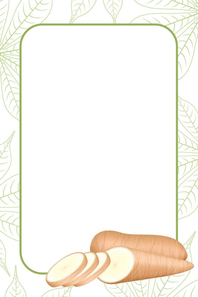 banner frame of a cassava fresh, copy space, cassava cut slice for tapioca flour industry or ethanol, pile yucca cassava tuber on frame, raw manioc cassava on template banner empty vector