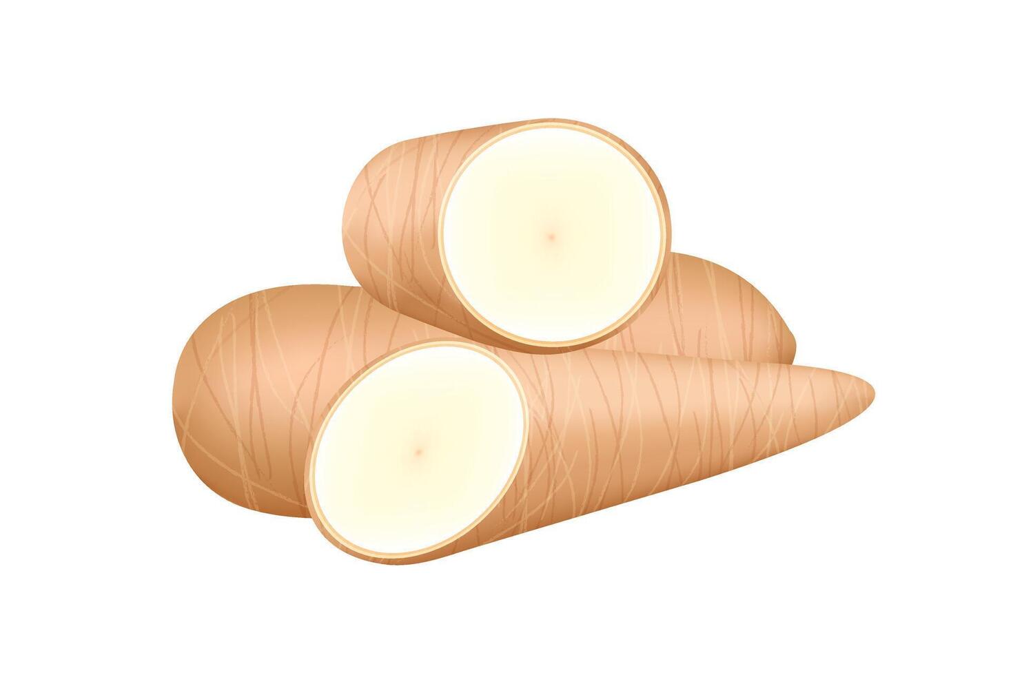 cassava fresh isolated on a white, cassava cut slice for tapioca flour industry or ethanol industry, pile yucca cassava tuber, raw manioc cassava in top view vector