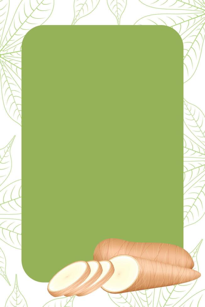 banner frame of cassava fresh for copy space, cassava cut slice for tapioca flour industry or ethanol, pile yucca cassava tuber on frame, raw manioc cassava on template banner background empty vector