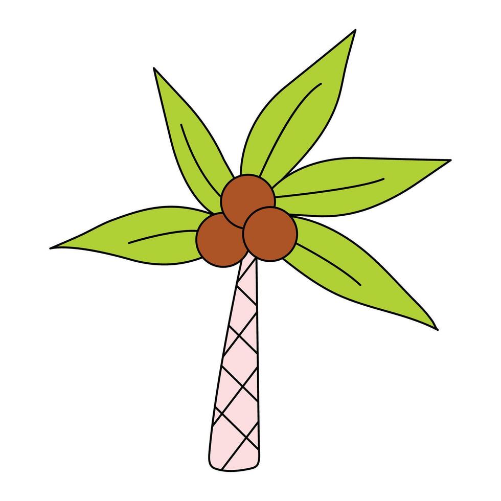 An image of a tropical palm tree in a flat style with coconuts on a white background. vector