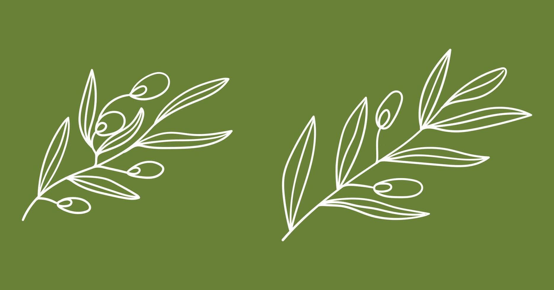 Olive branch with fruits, doodle hand drawing line art vector