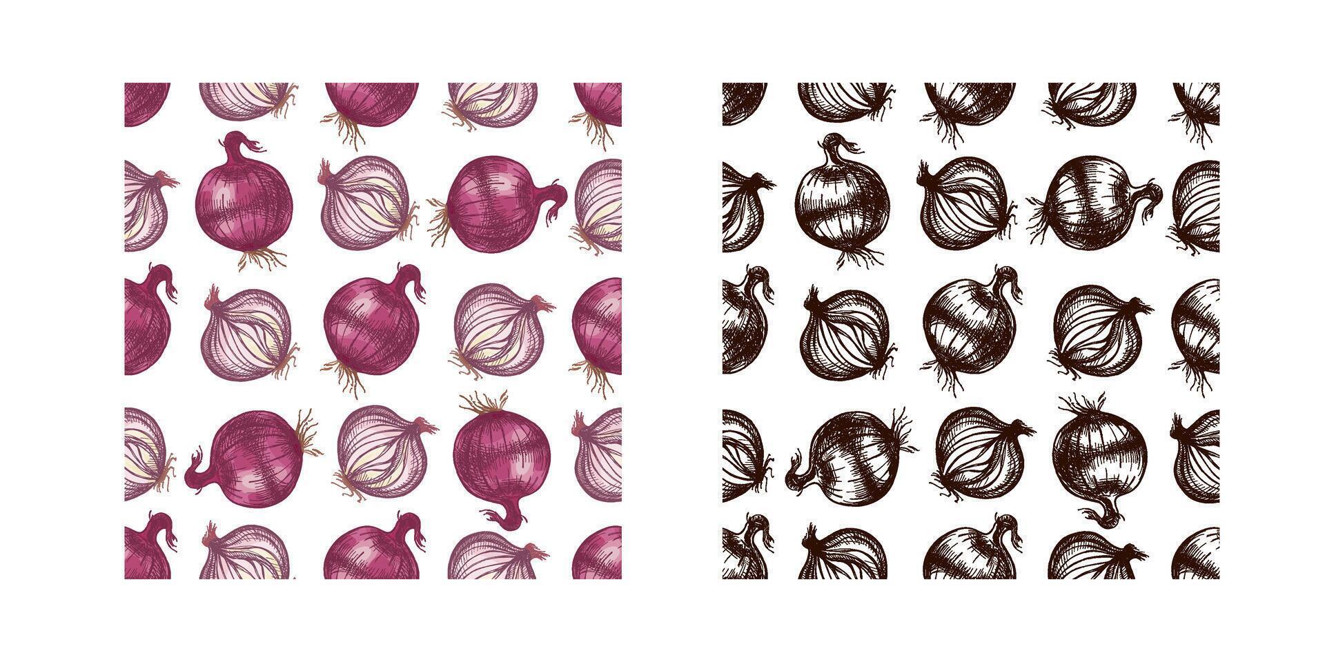 Seamless pattern set with hand drawn onions in vintage engraved sketch style vector
