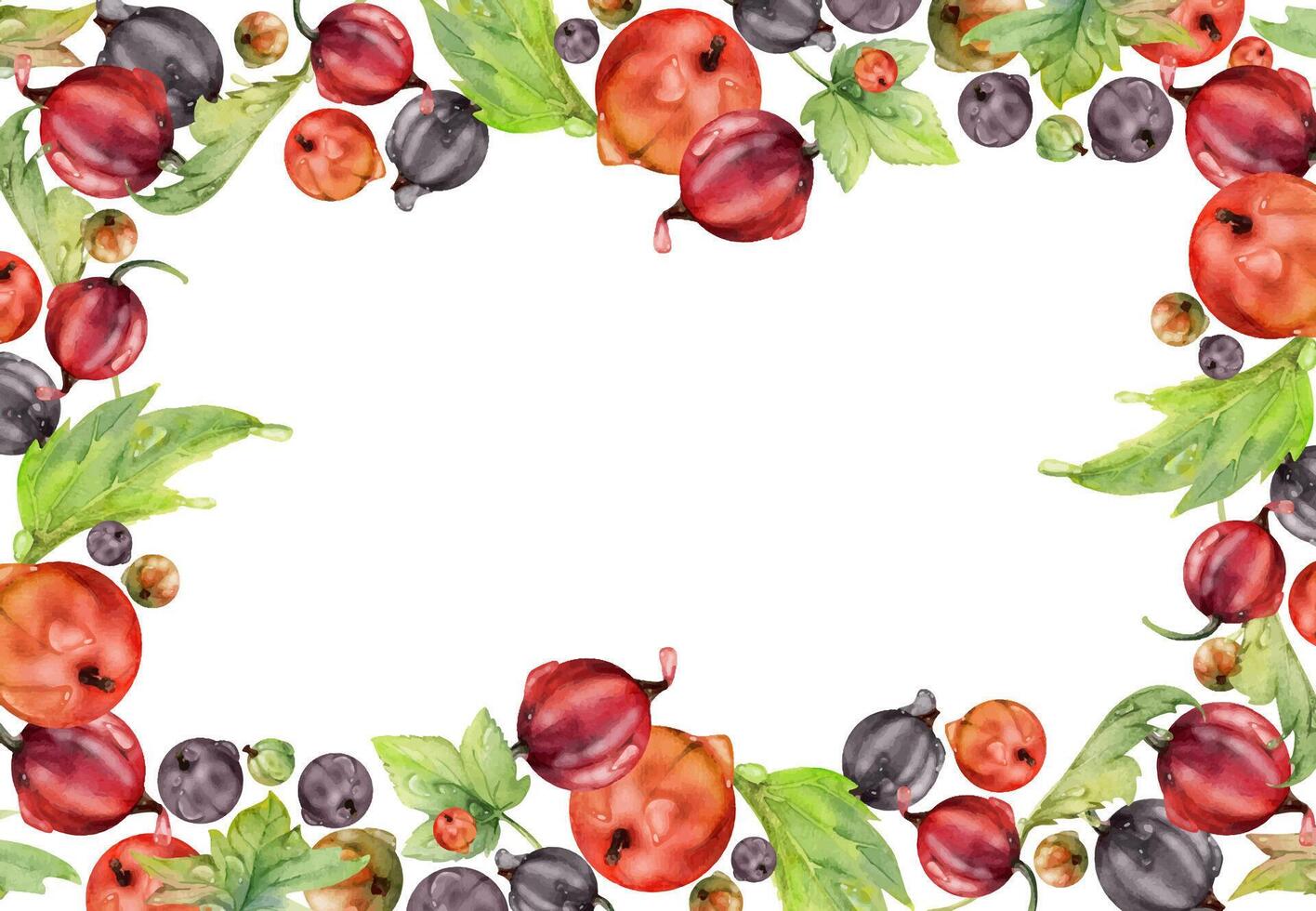 Currant gooseberry, leaves in water dew drops hand drawn in watercolor, scattered ripe garden casseille berry. Isolated border frame. Home preserves, textile, food store decor, vegan recipe cards vector