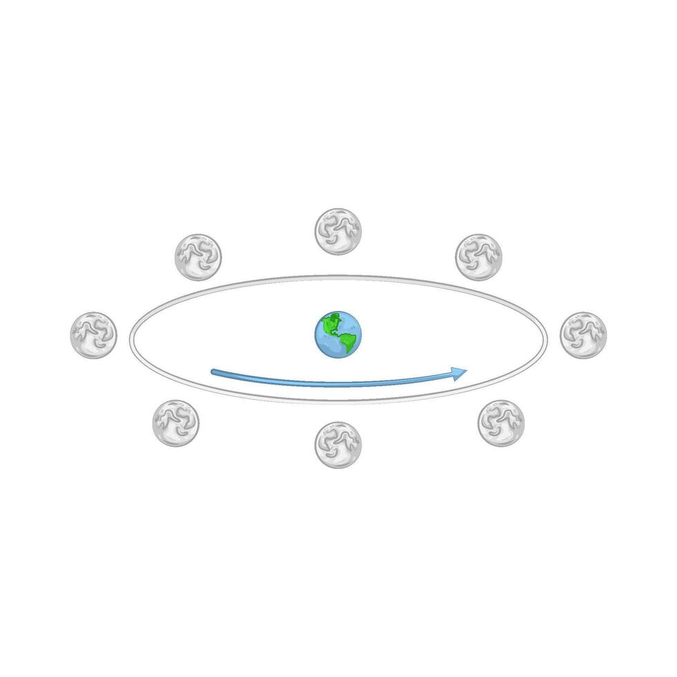 Illustration of Moon Orbit vector