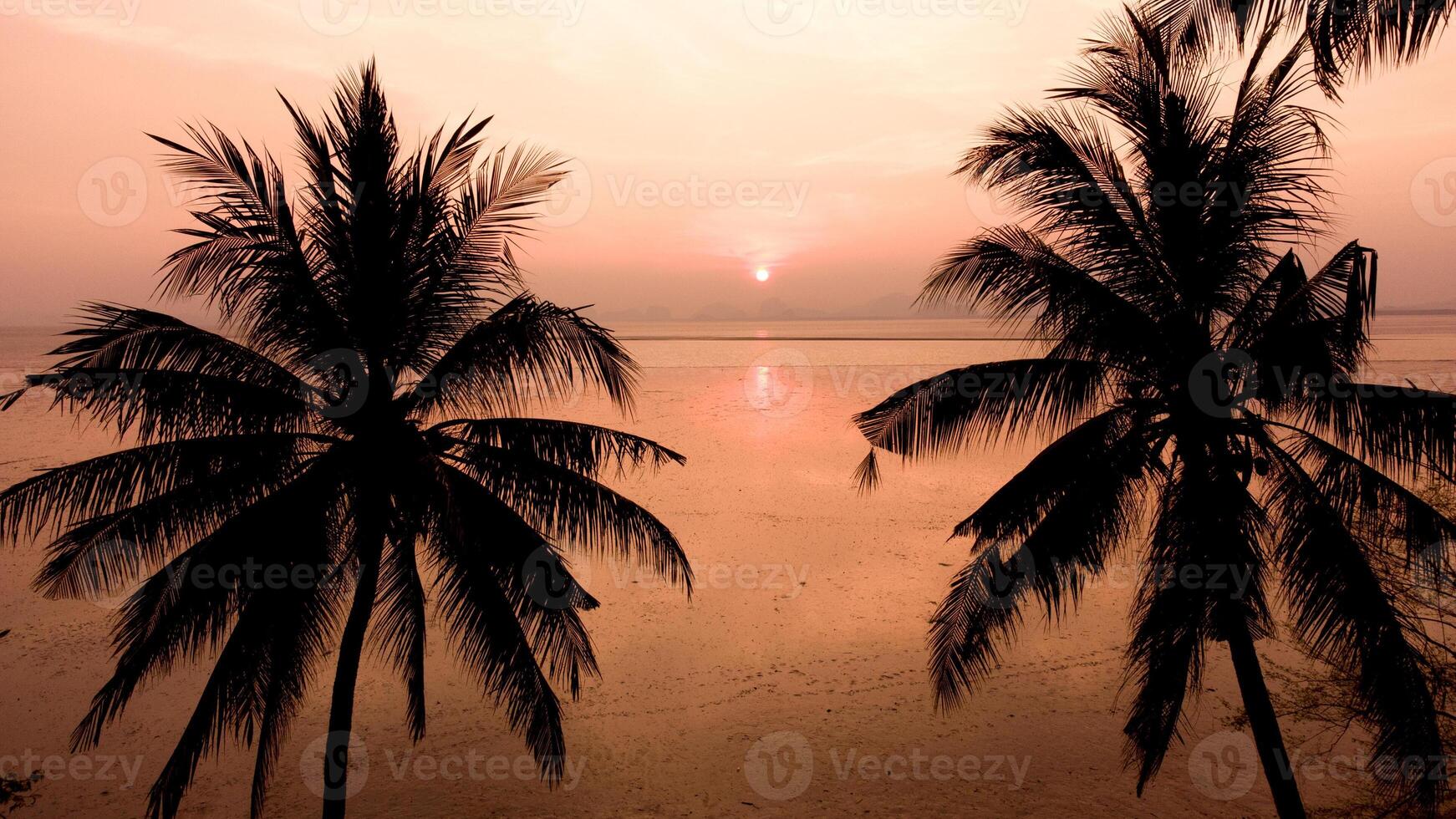 Stunning Tropical Sunset with Silhouetted Palm Trees Overlooking a Calm Ocean Horizon photo