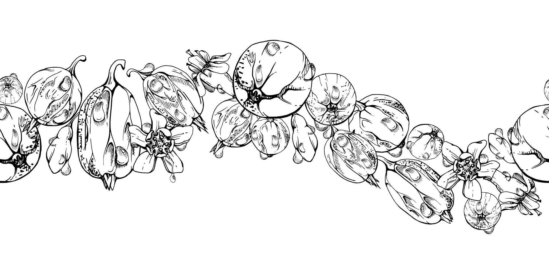 Gooseberry Currant garden berries, flowers in water dew drops hand drawn in ink. Seamless isolated wave banner garland. Home preserves, stationery, food store decor, cafe menu, recipe book vector