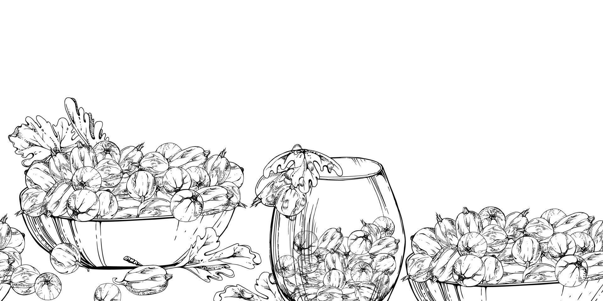 Gooseberry Currant with leaves in glass bowls, hand drawn in ink, served ripe picked berry harvest. Isolated seamless banner. Dessert cafe menu, cookbook, craft farmers market, gardening eco vector