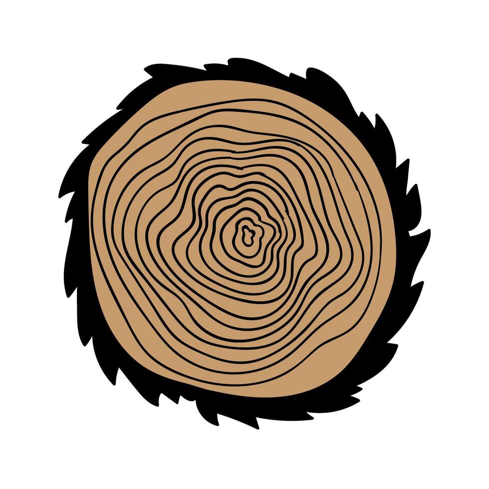 Wooden cut of a tree. illustration of a tree stump. vector
