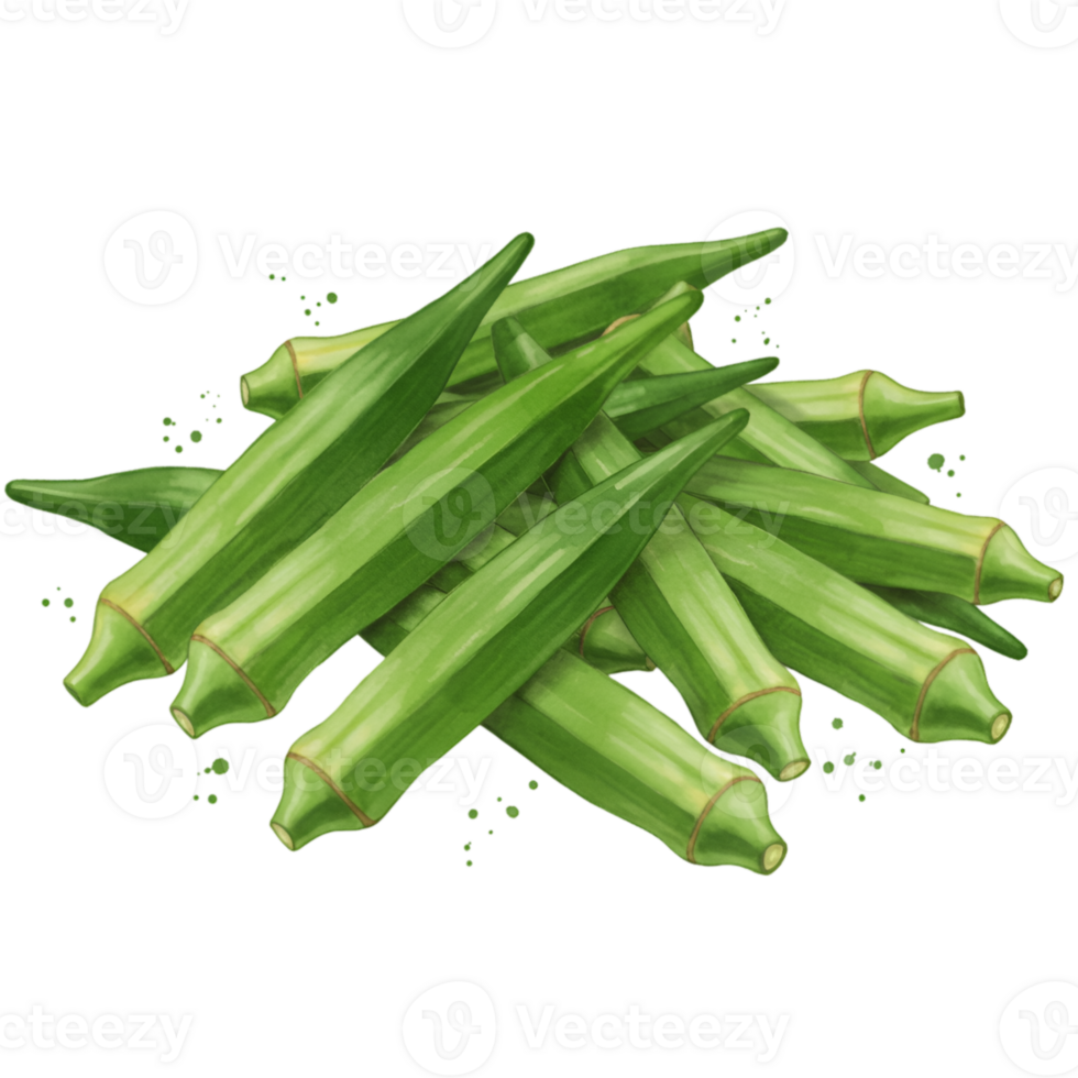 A pile of fresh okra pods with their vibrant green color arranged neatly on a plain surface view from above on transparent background png
