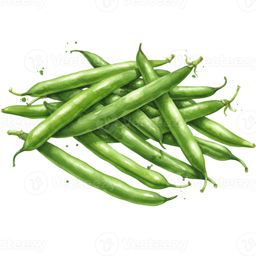 A pile of fresh green beans arranged randomly on a plain surface in a studio setting view top on transparent background png