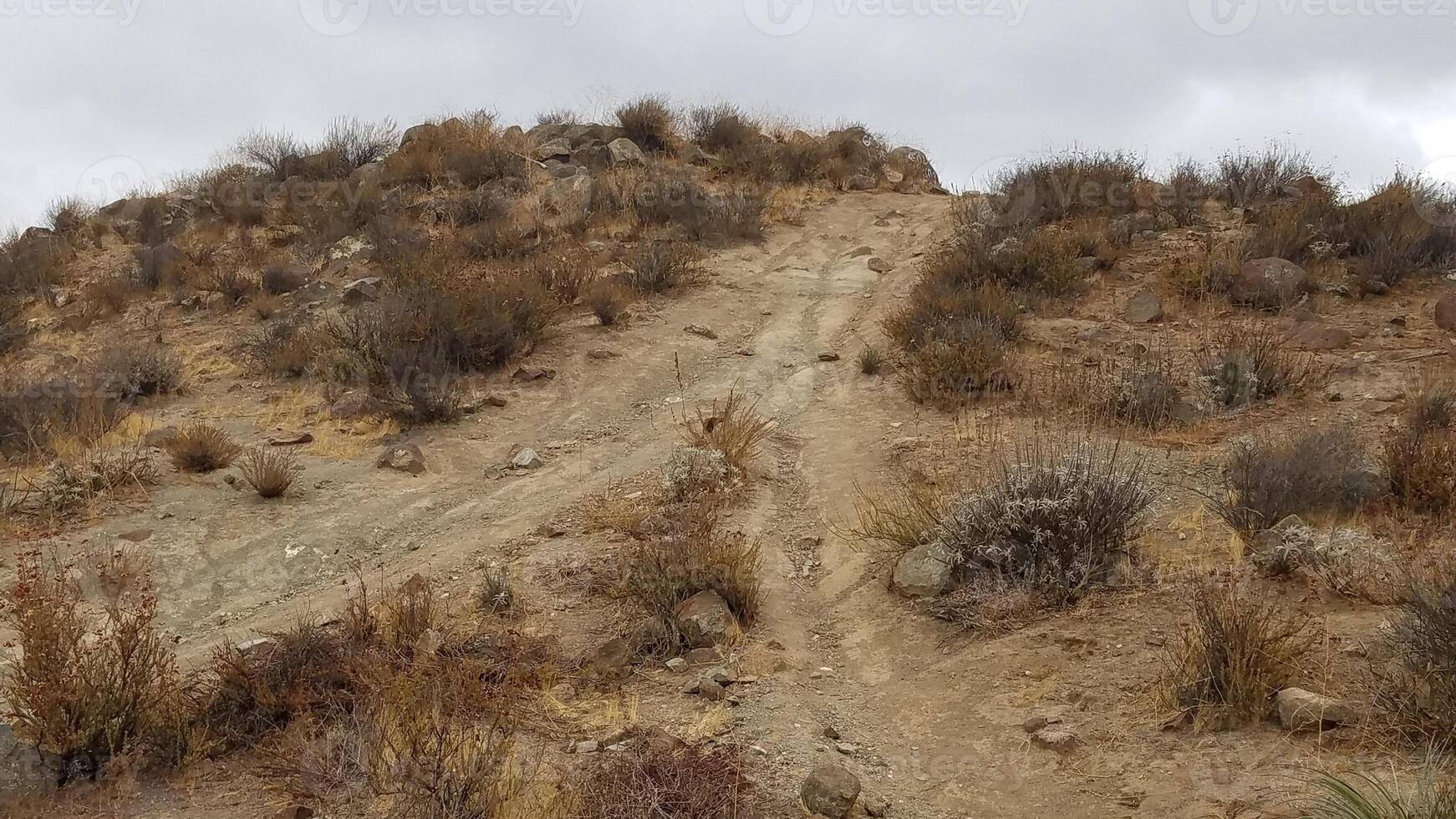 Trails Coming Together, Dirt Road, Menifee Cross Trail in Southern California photo