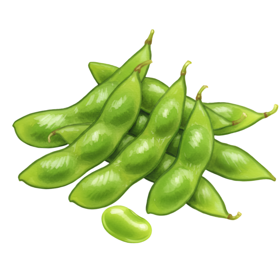 A watercolor pile of fresh edamame pods and one loose bean on a plain surface, ready to be enjoyed as a snack on transparent background png