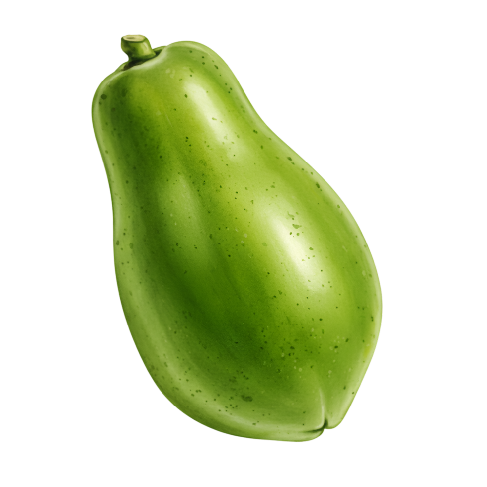 A watercolor single unripe papaya fruit with a smooth surface and a stem on a plain solid color space around it on transparent background png