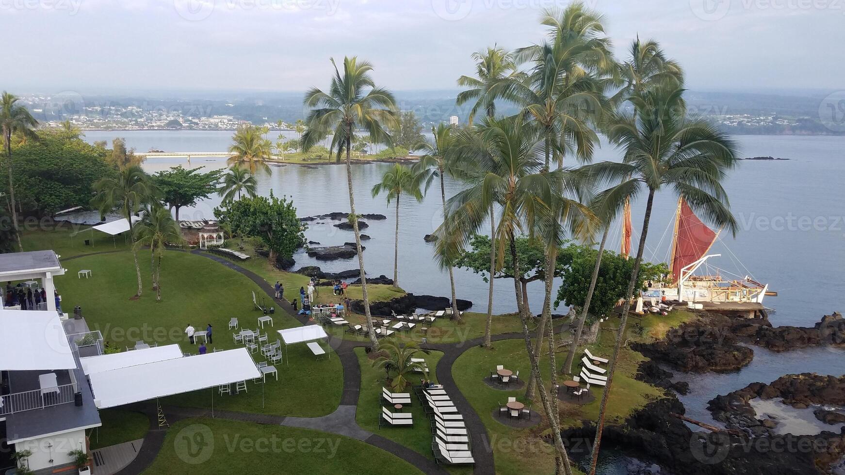 Tropical Resort with Tall Palm Trees on the Pacific Ocean, Hilo, Hawaii photo