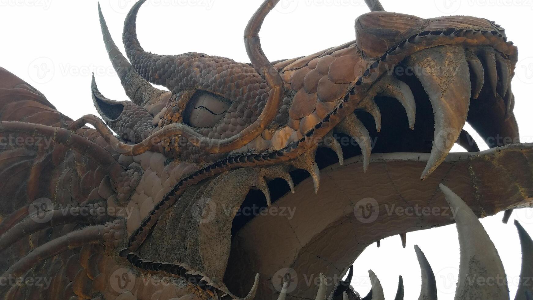 Dragon Head Close Up at Galleta Meadows in Borrego Springs California photo