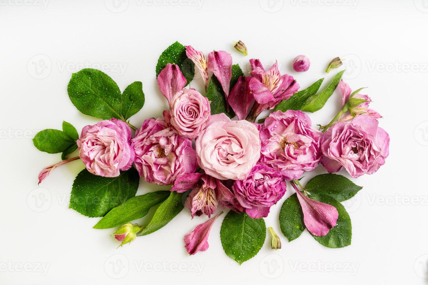 Delicate pink roses and alstroemeria with dew drops, floral flat lay on white minimal background with copy space for text photo