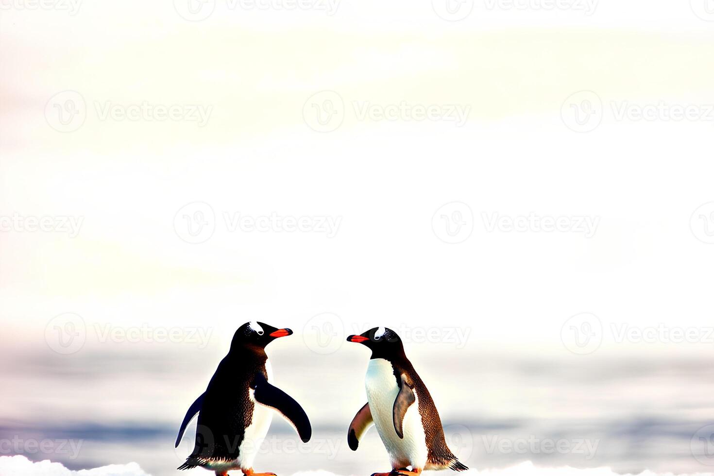 A group of Gentoo penguins standing on the ice in the Antarctic Peninsula, showcasing the rugged beauty of Antarctica and the unique wildlife in the cold environment photo