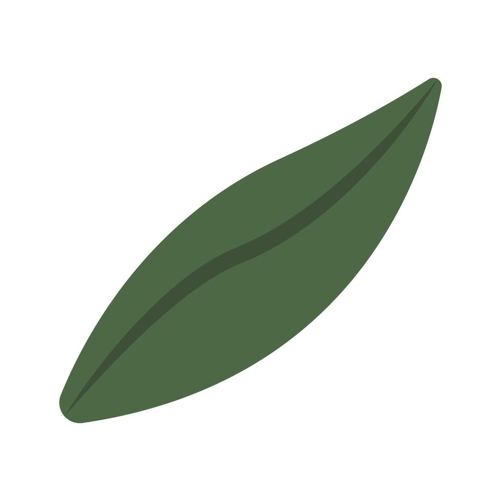 leaves illustration for spring and summer element vector