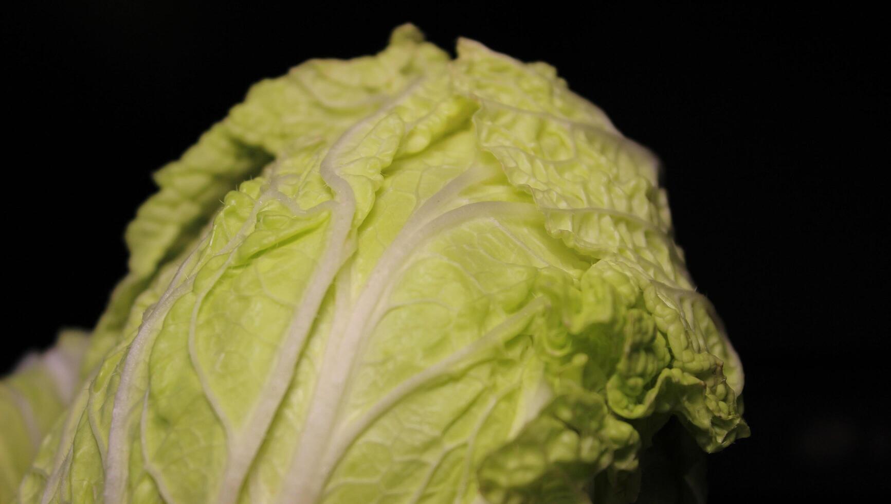 Tight Head Of Peking Cabbage Isolated Over Black photo
