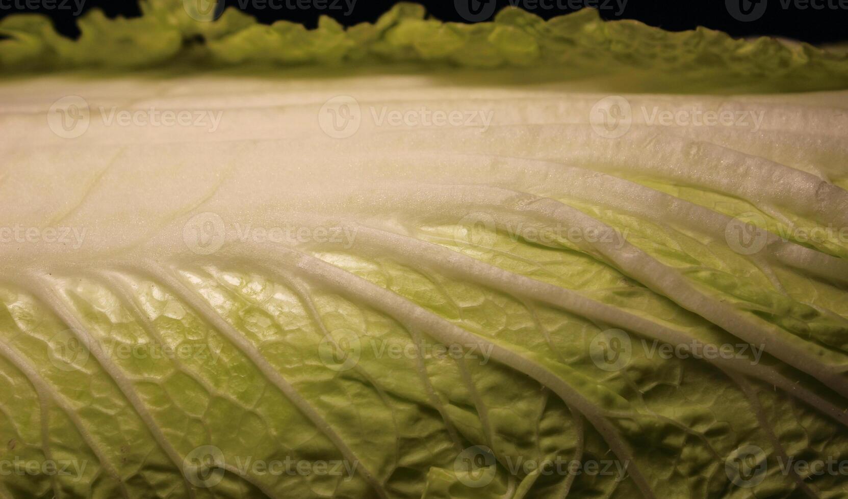 Green Veined Leaf Of Chinese Cabbage Closeup Stock Photo