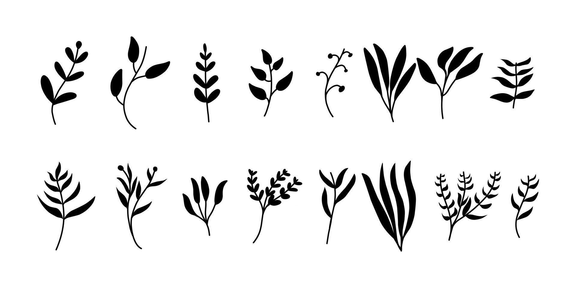 Collection of natural tropical leaf hand drawn elements. Black leaf graphic elements isolated on white background. vector