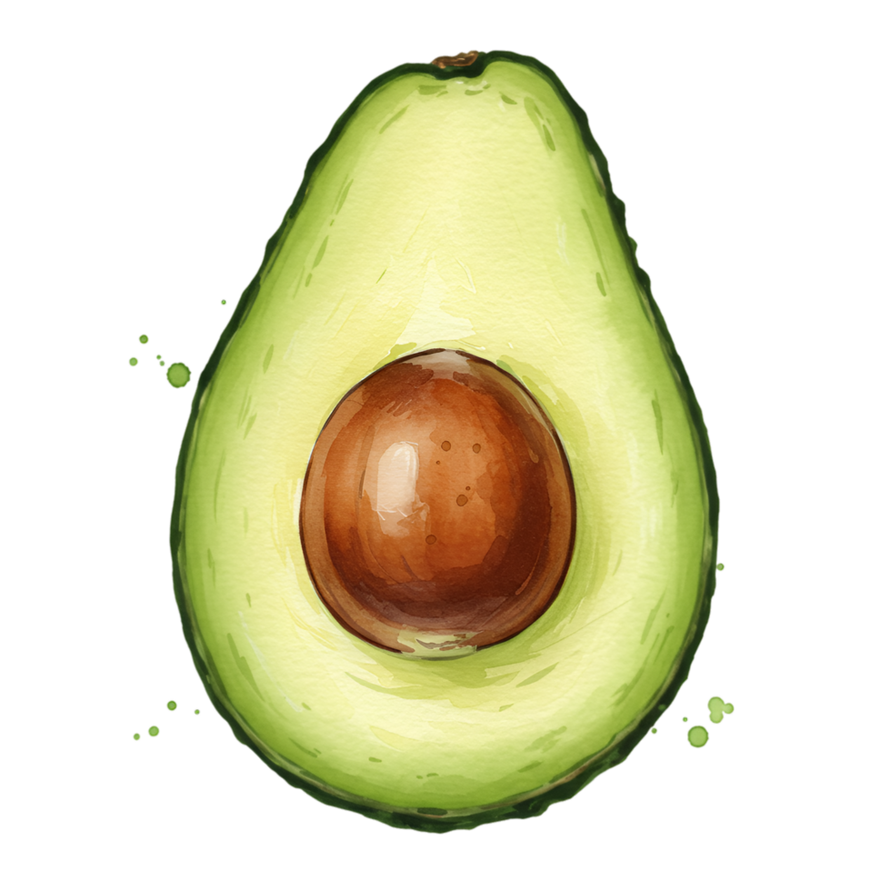 A halved avocado with a pit in the center on a plain setting in a watercolor style rendering art on transparent background png