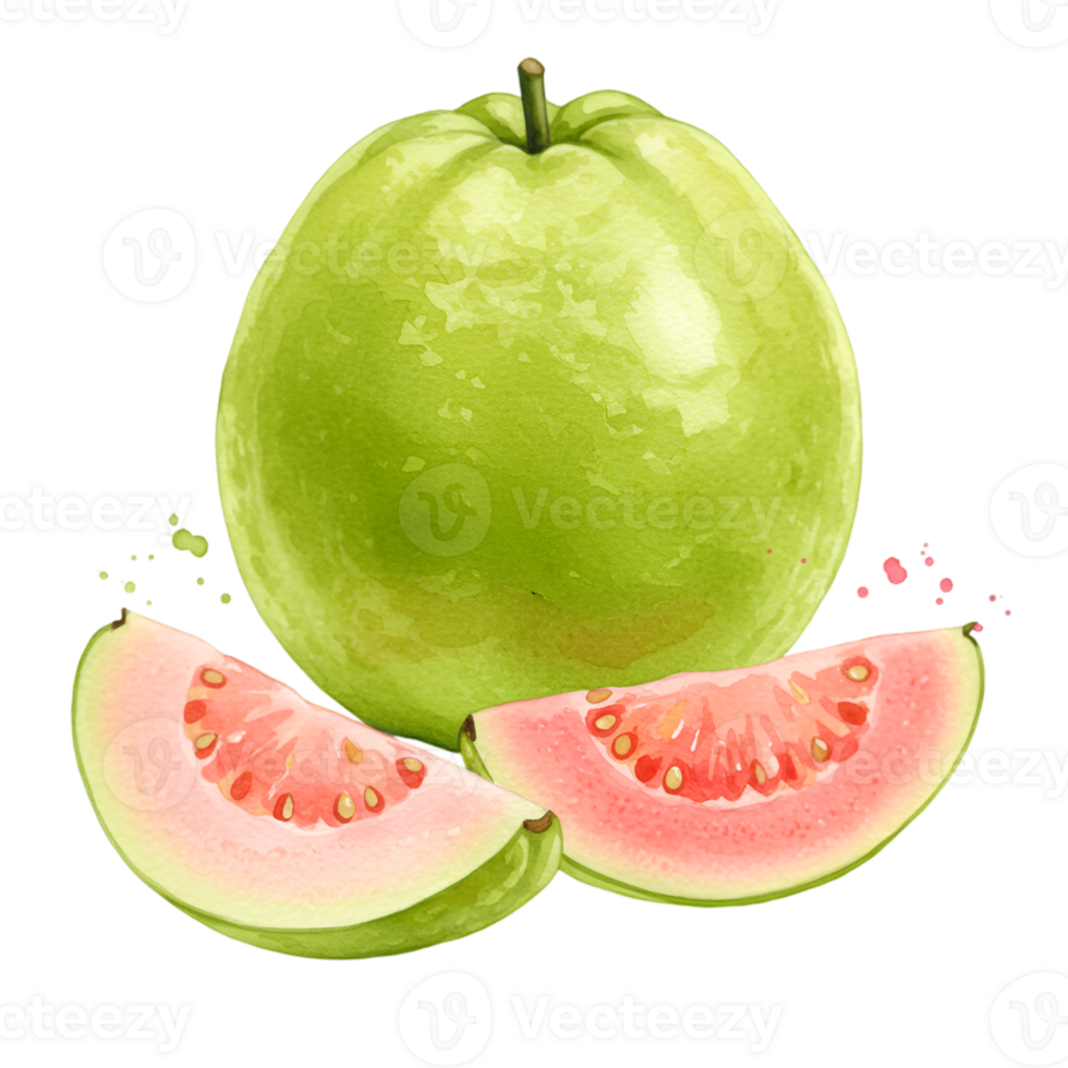 A single guava with two slices showing the pink flesh and seeds on a plain transparent area view on transparent background png