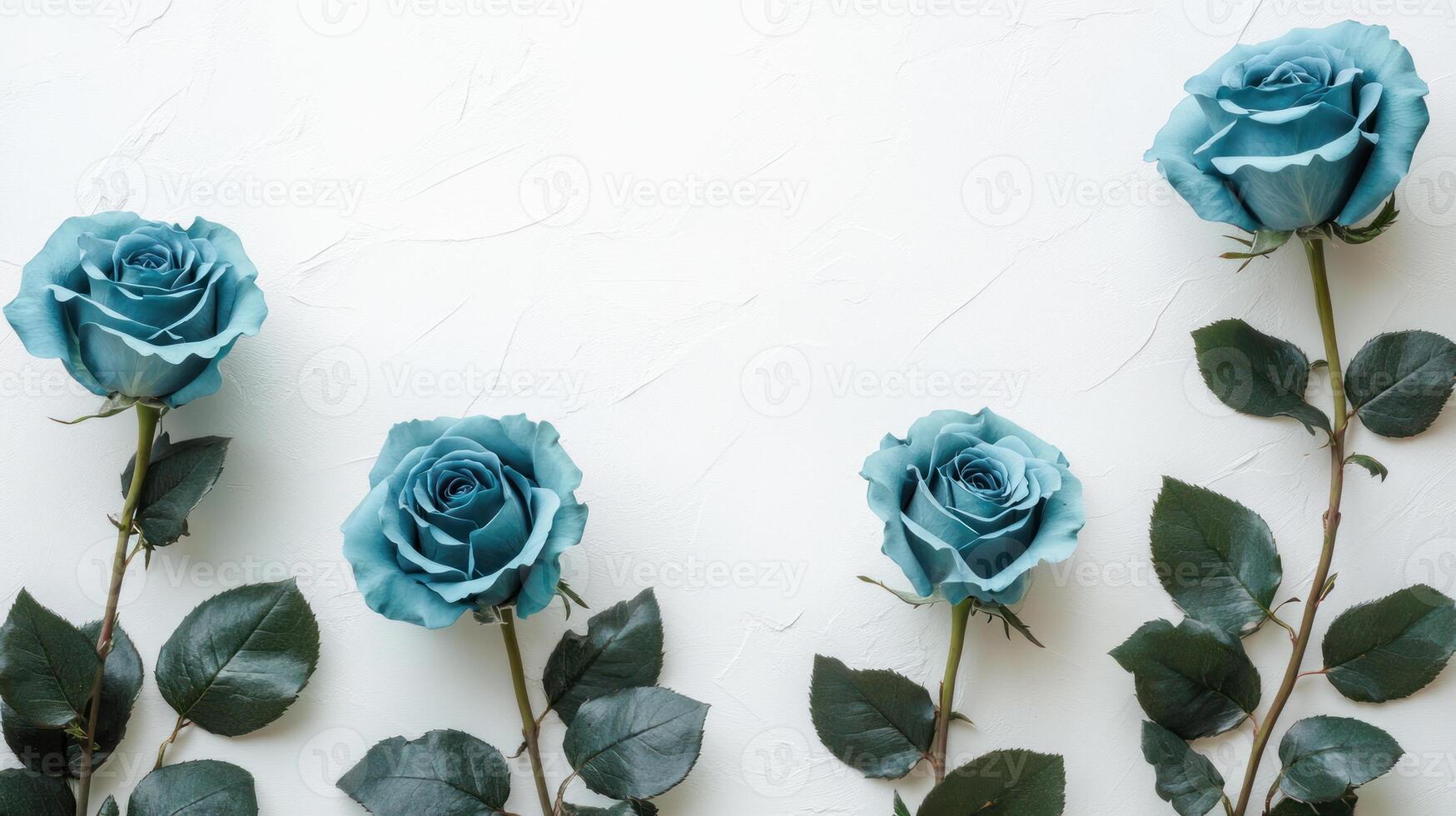 Blue rose flower with green leaf on white background for world ovarian cancer day awareness and hope for cure photo