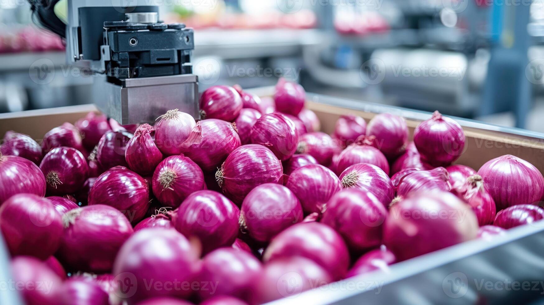 Robotic precision hand placing red onions into delivery box on modern stainless food processing line with clear high key lighting photo