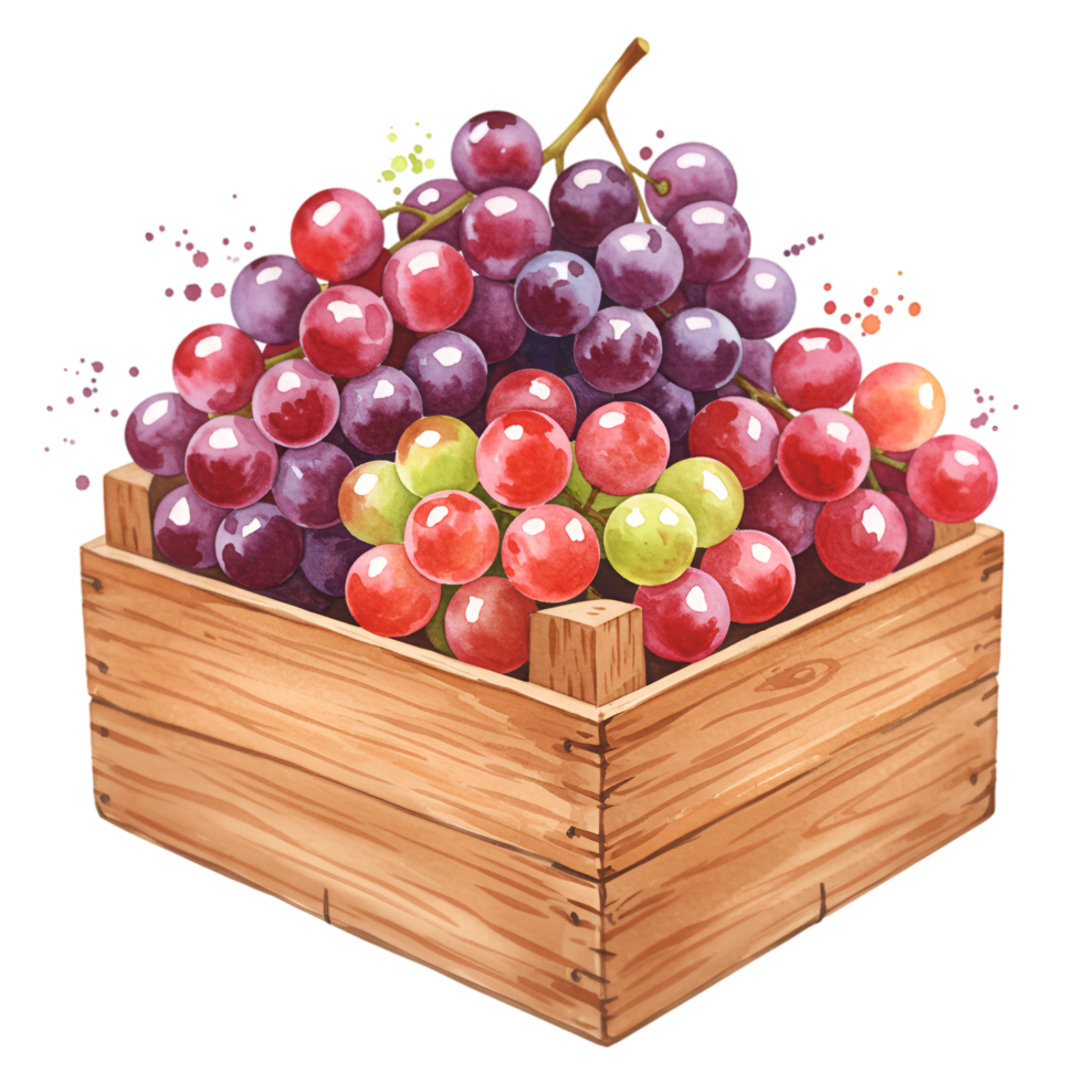 Fresh grapes in a wooden crate with red purple and green colors in a watercolor style rendering art on transparent background png