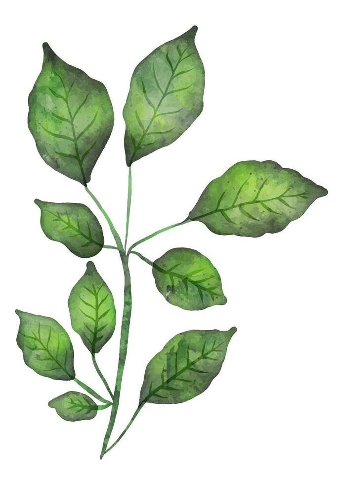 Hand painted watercolour leaves design background vector