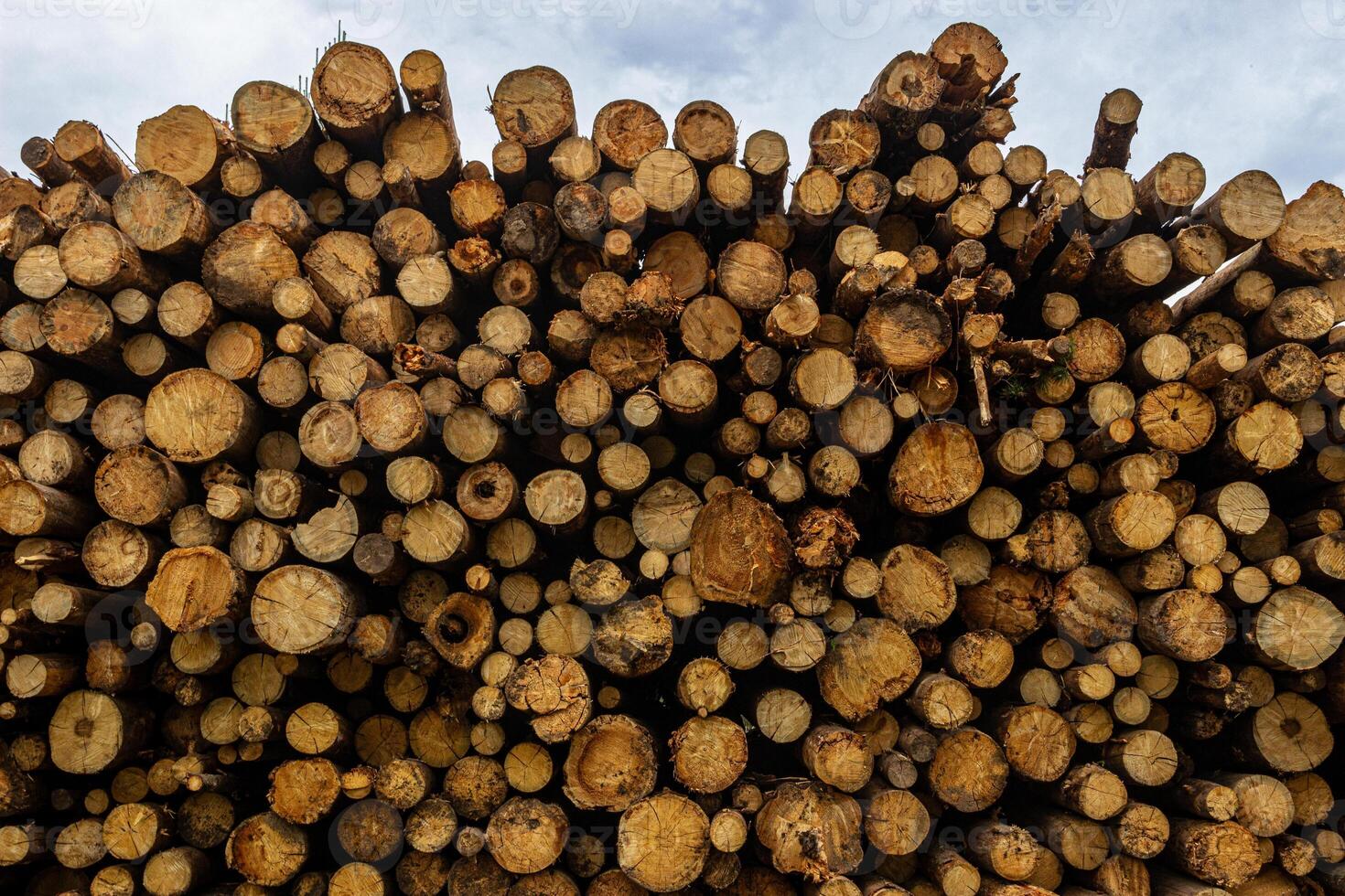 a pile of logs stacked against a blue sky photo